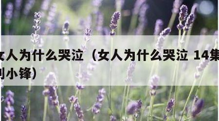 女人为什么哭泣（女人为什么哭泣 14集 刘小锋）