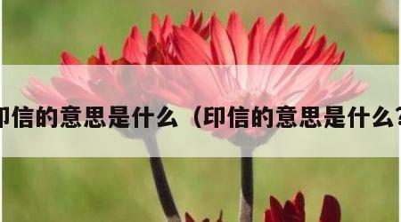 印信的意思是什么（印信的意思是什么?）