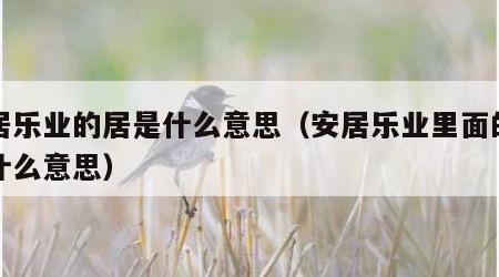 安居乐业的居是什么意思（安居乐业里面的居是什么意思）