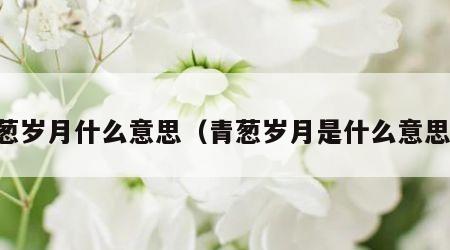 青葱岁月什么意思（青葱岁月是什么意思呢）