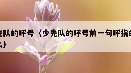 少先队的呼号（少先队的呼号前一句呼指的是什么）