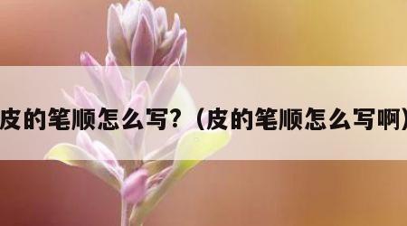 皮的笔顺怎么写?（皮的笔顺怎么写啊）