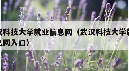 武汉科技大学就业信息网（武汉科技大学就业信息网入口）