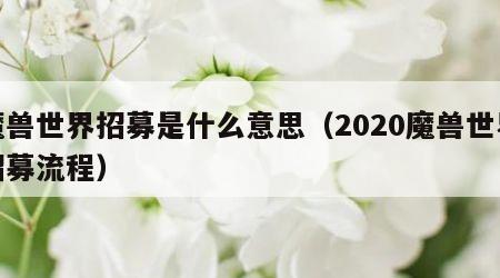 魔兽世界招募是什么意思（2020魔兽世界招募流程）