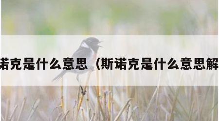 斯诺克是什么意思（斯诺克是什么意思解释）