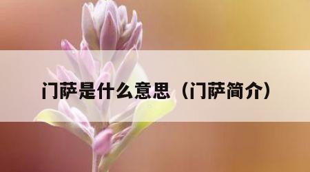 门萨是什么意思（门萨简介）