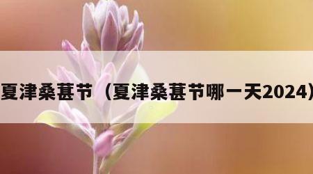 夏津桑葚节（夏津桑葚节哪一天2024）