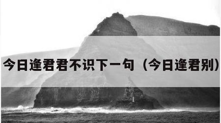 今日逢君君不识下一句（今日逢君别）