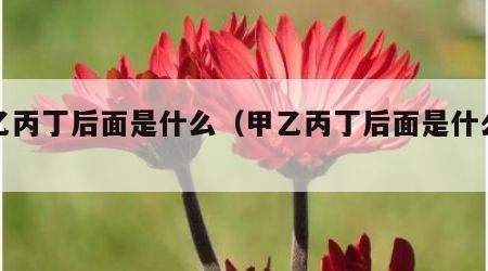 甲乙丙丁后面是什么（甲乙丙丁后面是什么拼音）