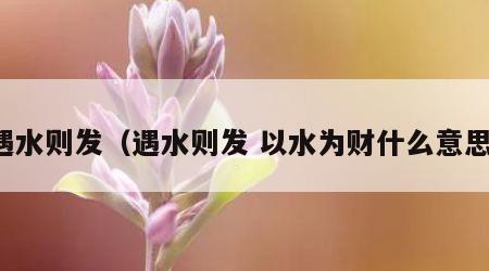 遇水则发（遇水则发 以水为财什么意思）