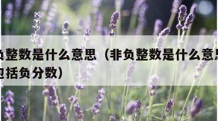 非负整数是什么意思（非负整数是什么意思包不包括负分数）