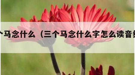 三个马念什么（三个马念什么字怎么读音组词）