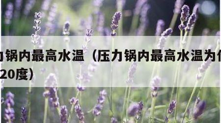 压力锅内最高水温（压力锅内最高水温为什么是120度）