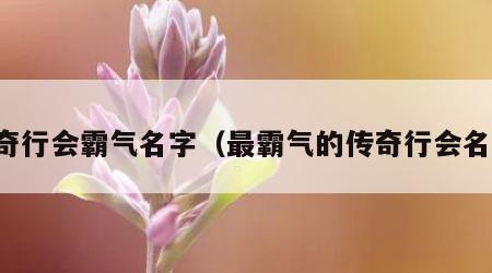 传奇行会霸气名字（最霸气的传奇行会名字）