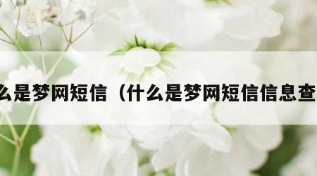 什么是梦网短信（什么是梦网短信信息查询）