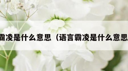 霸凌是什么意思（语言霸凌是什么意思）