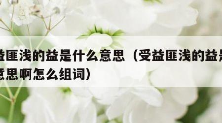 受益匪浅的益是什么意思（受益匪浅的益是什么意思啊怎么组词）