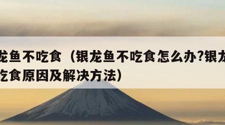 银龙鱼不吃食（银龙鱼不吃食怎么办?银龙鱼不吃食原因及解决方法）