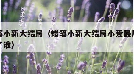 蜡笔小新大结局（蜡笔小新大结局小爱最后嫁给了谁）