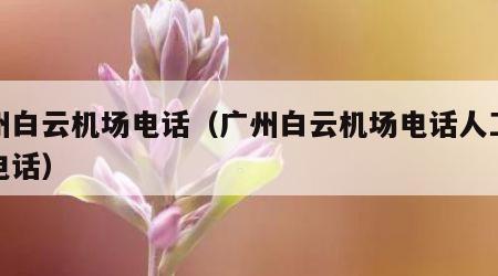 广州白云机场电话（广州白云机场电话人工客服电话）