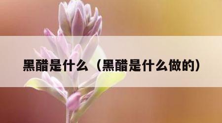 黑醋是什么（黑醋是什么做的）