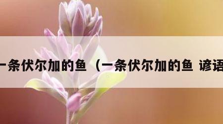 一条伏尔加的鱼（一条伏尔加的鱼 谚语）