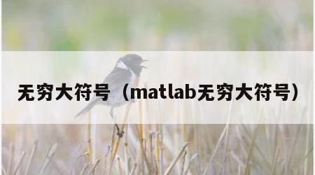 无穷大符号（matlab无穷大符号）