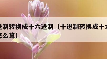 十进制转换成十六进制（十进制转换成十六进制怎么算）