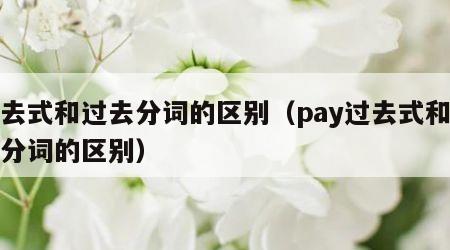 过去式和过去分词的区别（pay过去式和过去分词的区别）