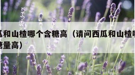 西瓜和山楂哪个含糖高（请问西瓜和山楂哪个含糖量高）