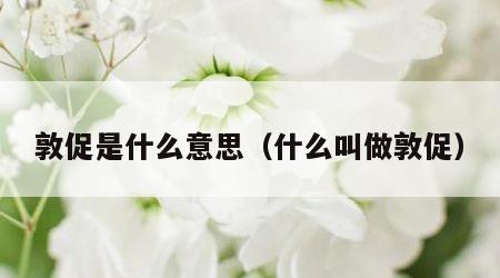 敦促是什么意思（什么叫做敦促）