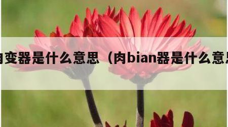 肉变器是什么意思（肉bian器是什么意思）