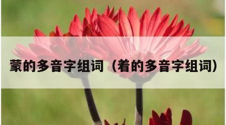 蒙的多音字组词（着的多音字组词）