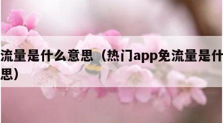 免流量是什么意思（热门app免流量是什么意思）