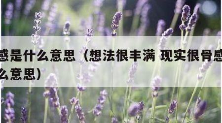 骨感是什么意思（想法很丰满 现实很骨感是什么意思）