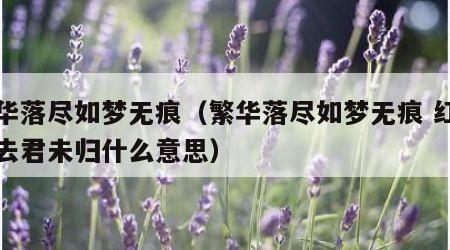 繁华落尽如梦无痕（繁华落尽如梦无痕 红尘散去君未归什么意思）