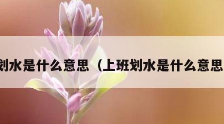 划水是什么意思（上班划水是什么意思）