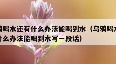 乌鸦喝水还有什么办法能喝到水（乌鸦喝水还有什么办法能喝到水写一段话）