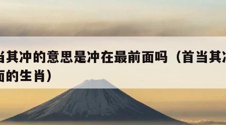 首当其冲的意思是冲在最前面吗（首当其冲在前面的生肖）