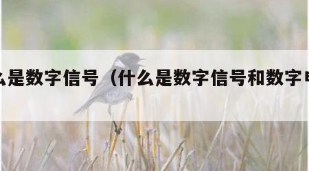 什么是数字信号（什么是数字信号和数字电路）