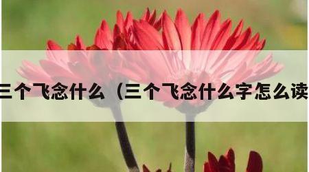 三个飞念什么（三个飞念什么字怎么读）