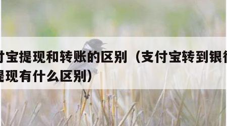 支付宝提现和转账的区别（支付宝转到银行卡和提现有什么区别）