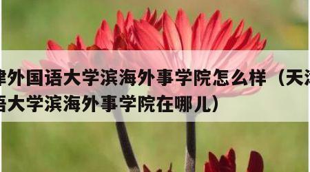 天津外国语大学滨海外事学院怎么样（天津外国语大学滨海外事学院在哪儿）