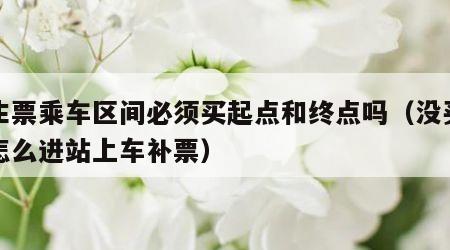 学生票乘车区间必须买起点和终点吗（没买到票怎么进站上车补票）