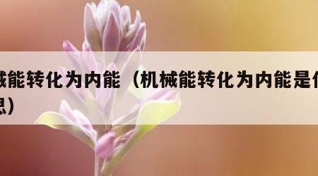 机械能转化为内能（机械能转化为内能是什么意思）