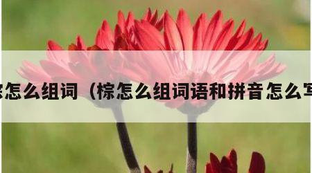 棕怎么组词（棕怎么组词语和拼音怎么写）