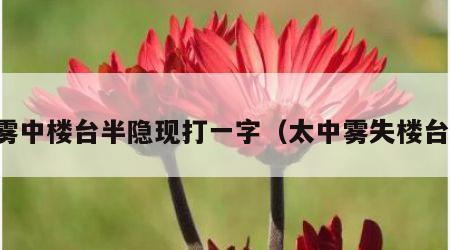 雾中楼台半隐现打一字（太中雾失楼台）