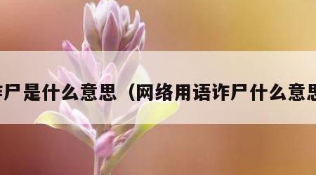 诈尸是什么意思（网络用语诈尸什么意思）