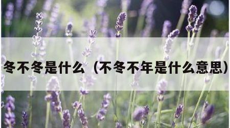 冬不冬是什么（不冬不年是什么意思）