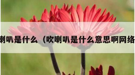 吹喇叭是什么（吹喇叭是什么意思啊网络语）